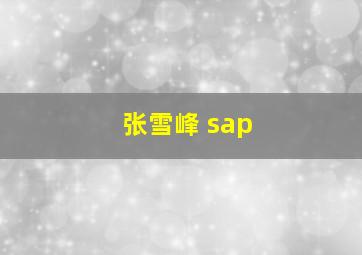 张雪峰 sap